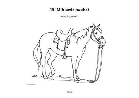 Mih awlz naehz