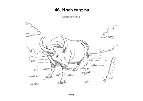 Animals in the field