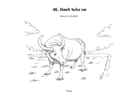 Naeh tuhz na